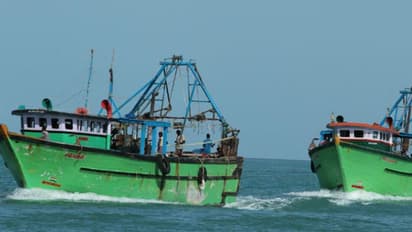 Sri Lankan navy chases away 3,000 Indian fishermen; association president demands justice