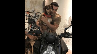 পশুহত্যার বিরুদ্ধে সরব জন আব্রাহাম, পশু প্রেমীদের উদ্দেশে দিলেন খোলা চিঠি