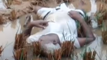 పెథాయ్ ఎఫెక్ట్: పొలంలోనే మృతి చెందిన రైతు