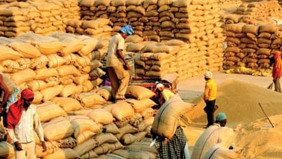 ಭತ್ತ ಖರೀದಿಗೆ ನಿಯಮ : ರೈತರಿಗೆ ಎದುರಾಯ್ತು ತಲೆನೋವು