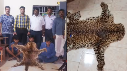 Poachers caught in CID Forest Cell net, leopard pelt recovered