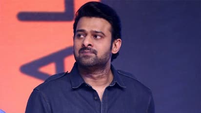 ''ప్రభాస్.. భూకబ్జాదారుడు''