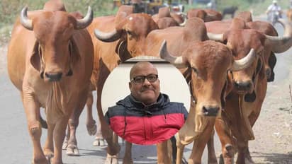 विज्ञान ही है संसार का सबसे बड़ा 'गोरक्षक'