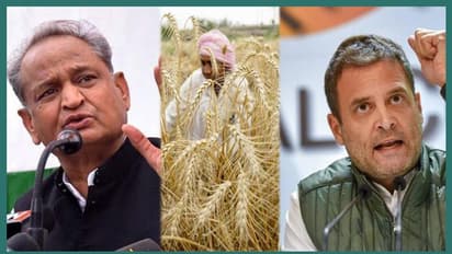 Congress loan waiver promise exposed: Rajasthan farmer's land auctioned off; family contemplates suicide