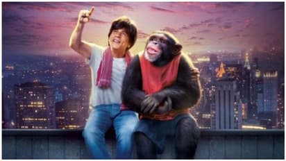 Shah Rukh Khan's Zero to close the Beijing International Film Festival