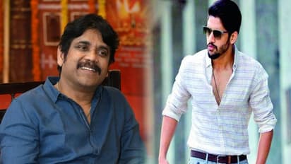 చైతు కోసం నాగ్ దర్శకుల వేట!