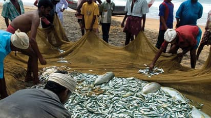 '39 ಮೀನುಗಾರ ಜಾತಿಗೆ ಎಸ್ಟಿ ಮಾನ್ಯತೆ'