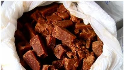 ശര്ക്കര വിവാദം കൊഴുക്കുന്നു; ഏഴ് വിതരണക്കാര് നല്കിയ 65 ലക്ഷം കിലോ ശര്ക്കരയ്ക്ക് ഗുണനിലവാരമില്ല