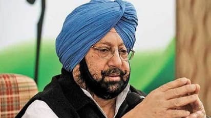 कैप्टन अमरिंदर सिंह ने बादल परिवार को बताया ‘खरगोश’