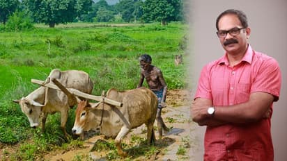 Farm loan waivers: How long will we have to repay money we haven't borrowed while the beneficiary remains poor?