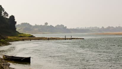 Madhya Pradesh: Narmada river flows above danger mark; officials closely monitoring situation