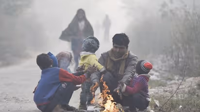 Winter season from December to February to be warmer in various parts of India: IMD