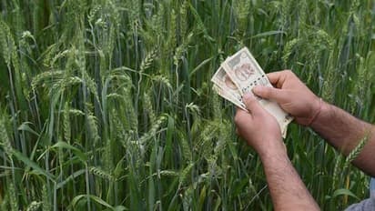 ಮೇ 31 ರವರೆಗೆ ಬೆಳೆ ಸಾಲಕ್ಕೆ ಬಡ್ಡಿ ಸಬ್ಸಿಡಿ ವಿಸ್ತರಣೆ