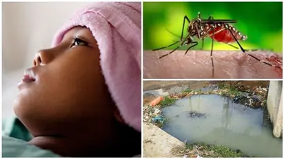 Mosquito menace: Malaria risk might increase in cold regions if temperature rises