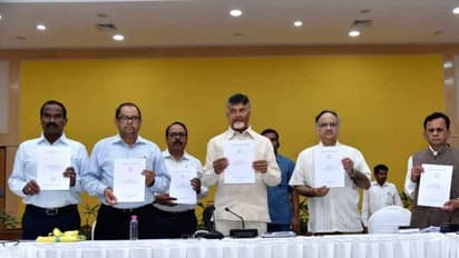 ఎనిమిదవ శ్వేత పత్రం విడుదల చేసిన చంద్రబాబు