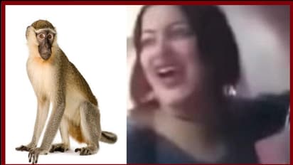 കുരങ്ങിനെ ലൈംഗികമായി ഉപദ്രവിച്ച യുവതിക്ക് മൂന്നുവര്ഷം തടവ്