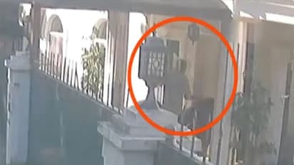 ಪತ್ರಕರ್ತನ ದೇಹ ಕತ್ತರಿಸಿ ಬ್ಯಾಗ್ನಲ್ಲಿ ಸಾಗಿಸಿದ ಸಿಸಿಟೀವಿ ದೃಶ್ಯ ಪತ್ತೆ!