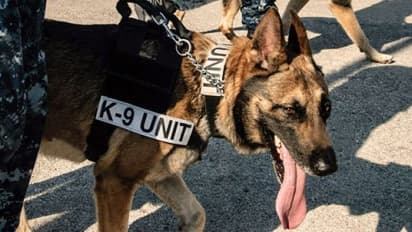 वीवीआईपी दौरों से पहले खतरा 'सूंघने वाले सिपाही' थक रहे, एसपीजी ने कड़े नियम बनाए