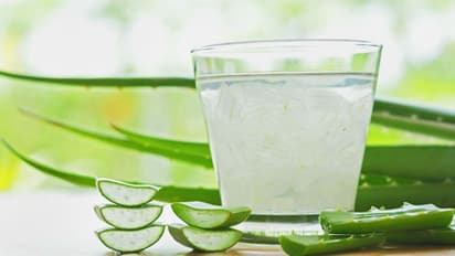 കറ്റാർവാഴ സൂപ്പറല്ലേ; ഗുണങ്ങൾ പലതാണ്