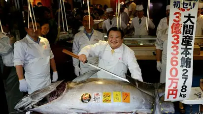 जापान के रईस ने एक मछली के लिए चुकाया 21.5 करोड़