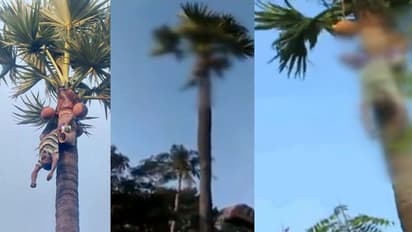 மரத்தில் தொங்கியபடி மரணமடைந்தவரை உலுக்கி கீழே தள்ளிய கொடூரம்.. மீட்பதில் பெரும் அலட்சியம்..!