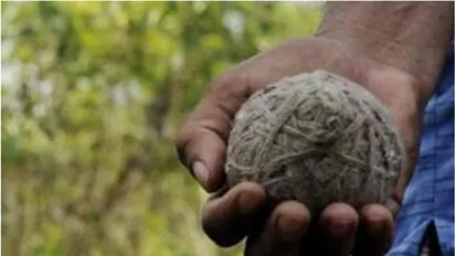 Bharat bandh: Bombs hurled at CPM, BJP leaders’ houses in Kerala