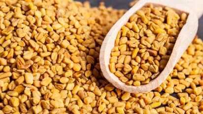 Health Tips : ഉലുവ വെള്ളം വണ്ണം കുറയ്ക്കാൻ സഹായിക്കുമോ?