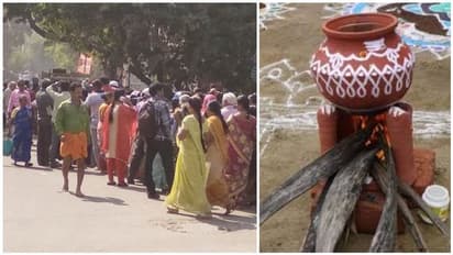 மனிதரின் வாழ்வோடு கலந்த பொங்கல் திருநாள்!