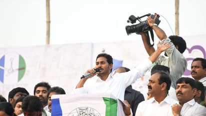 ఆనాడు హోదా వద్దని, ఎన్నికలవేళ కావాలని రాజకీయమా : టీడీపీపై వైసీపీ మండిపాటు