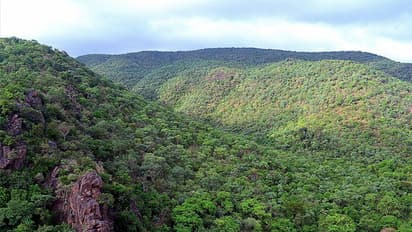 ಬಳ್ಳಾರಿ ರಕ್ಷಿತಾರಣ್ಯದಲ್ಲಿ ಮತ್ತೊಂದು ಗಣಿಗಾರಿಕೆಗೆ ಸರ್ಕಾರದ ಒಪ್ಪಿಗೆ!