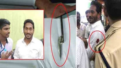 జగన్పై దాడి: విశాఖకు శ్రీనివాసరావును తరలించనున్న ఎన్ఐఏ