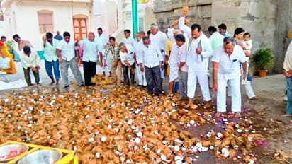 3648 కొబ్బరికాయలు.. మొక్కు తీర్చుకున్న జగన్ అభిమానులు