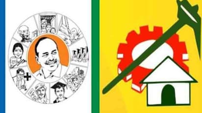 కృష్ణాజిల్లాలో టీడీపీ-వైసీసీ డిష్యుం డిష్యుం