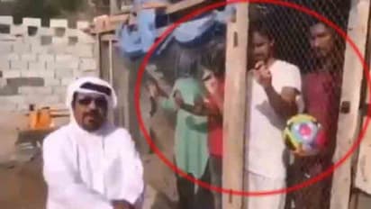 ‘‘యూఏఈకి జై కొట్టండి’’... భారత అభిమానులను బంధించిన దుబాయ్ షేక్