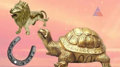 ಈ ವಸ್ತು ಮನೆಯಲ್ಲಿದ್ದರೆ.. ಮನೆಮಂದಿಗೆಲ್ಲ ಒಳಿತಾಗುತ್ತೆ