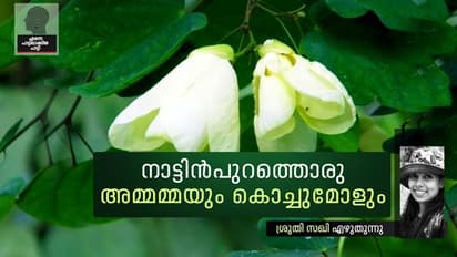 'മാക്സി ഇട്ട അമ്മമ്മ ഒക്കെ ണ്ടാവോ അമ്മമ്മേ?'