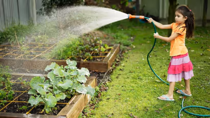 ನೀವು ಮಾಡುತ್ತಿರುವುದು ನಿಮಗೆ ತಿಳಿದಿರದ ಗಾರ್ಡನಿಂಗ್ ಮಿಸ್ಟೇಕ್ಸ್ !!