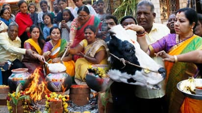 Sankranti: Actress Tara celebrates Pongal with BBMP pourakarmikas