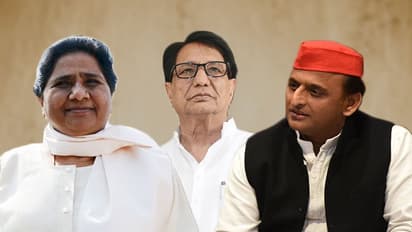 RLD wants 4 specific seats in Uttar Pradesh to enter SP-BSP alliance, 3 promised so far