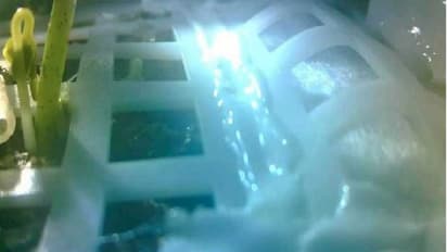 ಮಾನವ ದೇವನಾದ: ಚಂದ್ರನ ಮೇಲೆ ಗಿಡ ಬೆಳೆಸಿದ ಚೀನಾ ನೌಕೆ!