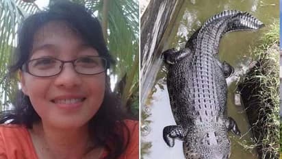 గారాబంగా పెంచినందుకు...యజమానినే భోంచేసిన మొసలి