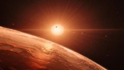 ಅಲ್ಲಿವೆಯಂತೆ ಜೀವಿಗಳು: ಹೇಗಿವೆ ಅಂದ್ರೆ...!