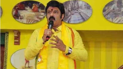 ఎంతమంది ఎన్ని పథకాలు పెట్టినా.. వాటికి ఎన్టీఆరే స్ఫూర్తి: బాలకృష్ణ