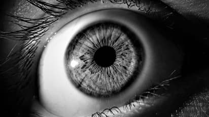 ഒരു കുടുംബത്തിലെ ഒരാളെങ്കിലും കണ്ണുകള് ദാനം ചെയ്യുന്നു; കാഴ്ചയില്ലാത്തവര്ക്ക് കാഴ്ചയേകി ഒരു ഇന്ത്യന് ഗ്രാമം