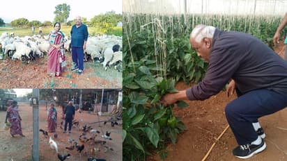 ತೋಟದ ಮನೆಯಲ್ಲಿ ಹಾಯಾಗಿರುವ ಸ್ಪೀಕರ್ ರಮೇಶ್ ಕುಮಾರ್
