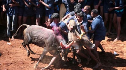 சீறிப்பாய்ந்த காளையை அடக்கிய வீரர்களும்... பிடிபடாமல் கெத்து காட்டிய காளைகளும்..! பரிசு விவரம் இதோ...