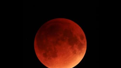 Blood Moon : ബ്ലഡ് മൂണ്‍ പ്രതിഭാസം കാണാം; ഇന്ത്യയില്‍ എപ്പോള്‍, എങ്ങനെ കാണാം, അറിയേണ്ടതെല്ലാം