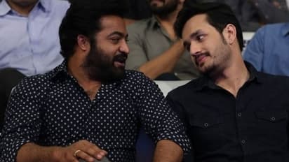 ''ఏంట్రా బలిసిందా..?'' అఖిల్ పై ఎన్టీఆర్ కామెంట్!