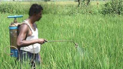 നിരോധിത കീടനാശിനികൾ പേരുമാറ്റിയെത്തുന്നു; കൃഷിവകുപ്പിന്റെ സര്ക്കുലറിന് പുല്ലുവില