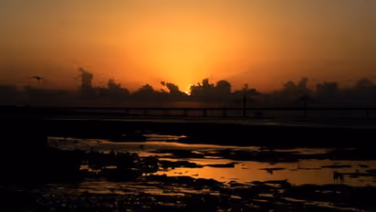 Five places Bengalureans can go on a quick drive, enjoy sunrise